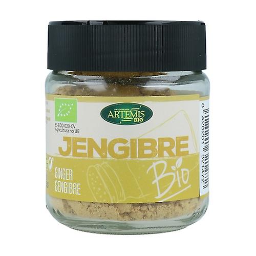 Jengibre Molido Condimento XL 50 Grs. (Artemis)