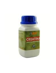Creatina Pura 500Gr. Polvo (Gsn) (copia)
