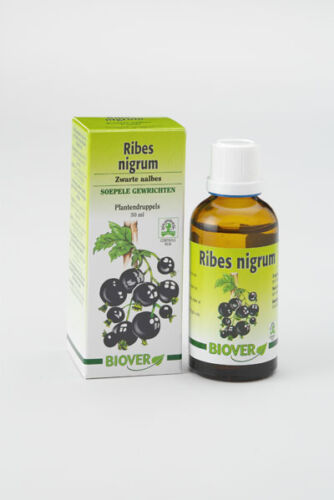 Extracto Ribes Nigrum (Grosellero Negro) 50 ml. (Biover)