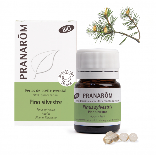 Ac. Esencial Pino Silvestre Bio 60 Perlas (Pranarom)