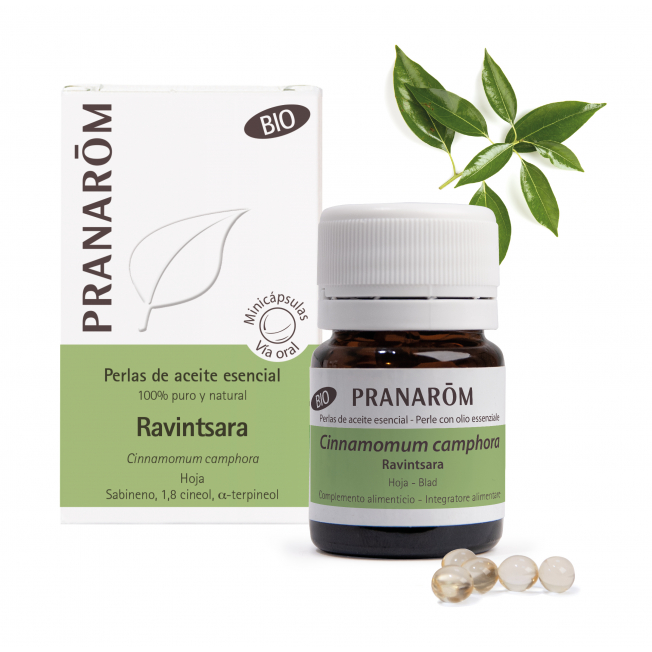 Ac. Esencial Ravintsara Bio 60 Perlas (Pranarom)