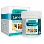 Lavienzym 120 Comp. (Lavigor)