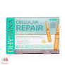 Ampollas Reparador Celular 7 Ampollas (Dhyvana)