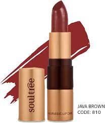 Barra Labial Ayurvedica 810 Java Brown 4 gr. (Soultree)