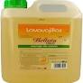 Lavavajillas Vital (SQM) 5 Ltrs. (Beltran)