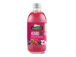 Kombucha Berry Bio 250 ml (Xanceda)