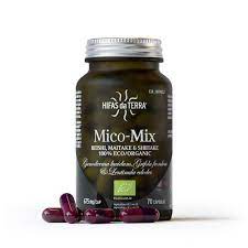 Mico Mix + Vit. 70 Caps. (Hifas da Terra)
