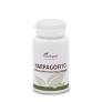 Harpagofito Ext. Seco 100 Comp. (Plantapol)