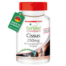 Cissus 90 Cap (Fairvital)