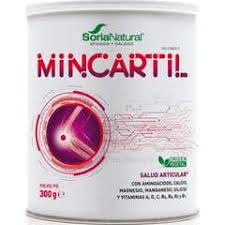 Mincartil Forte Bote 300 Grs. (Soria)