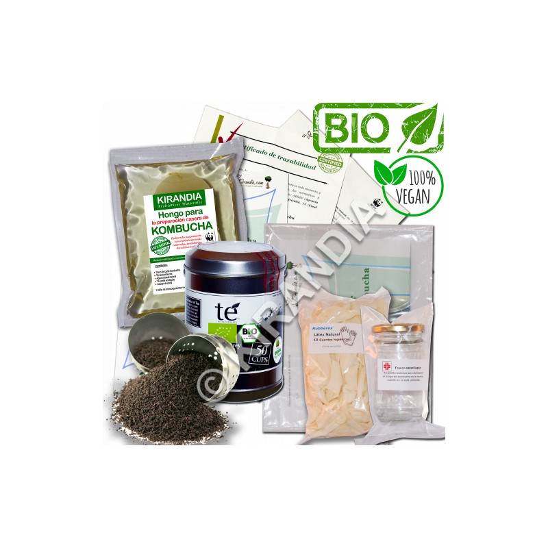 Kit Basico Kombucha Hongo (Kirandia)