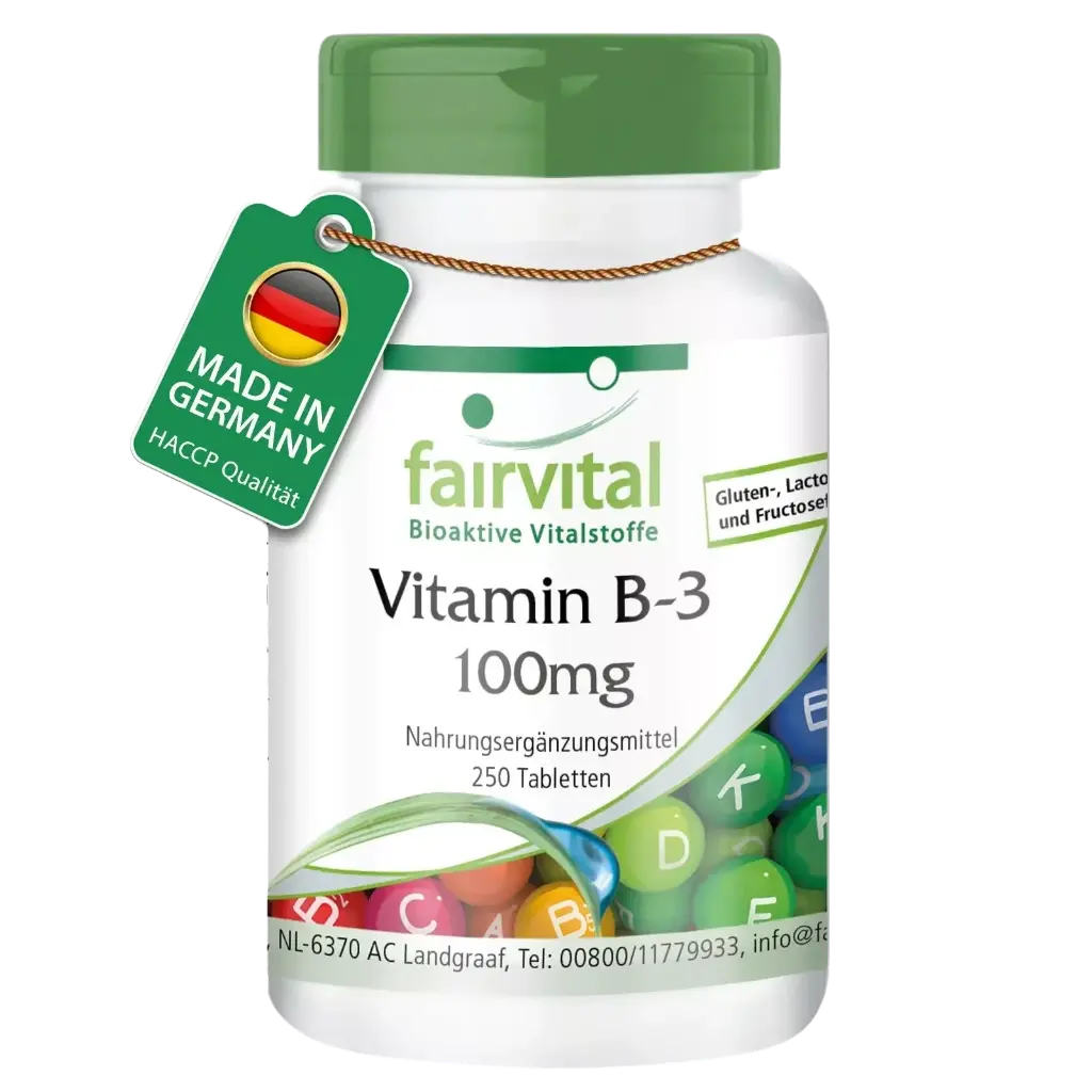 Vitamina B3 Niacina 100 mg. (Fairvital)