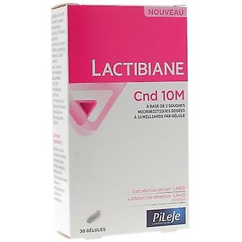 Lactibiane Cnd 10M 30 Caps. (Pileje) *Codigo Nuevo*