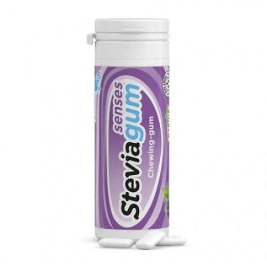 Chicle Con Xilitol Y Estevia Arandano Menta 30 Grs. (Steviagum)