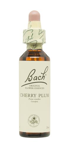 Cherry Plum Nº 6 "Cerasifera" 20Ml. Persona Triste (Bach Flowers)