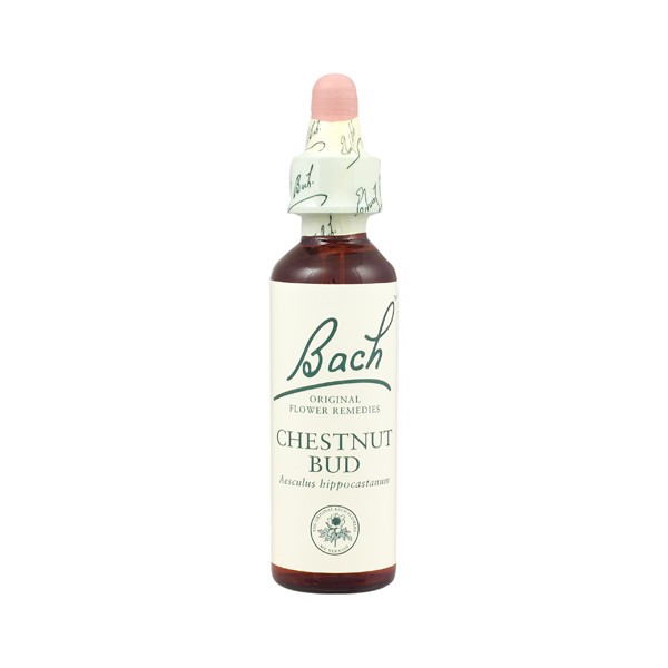 Chestnut Bud Nº 07 *Brote De Castaño* 20Ml. (Bach Flowers)