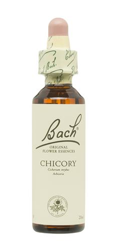 Chicory Nº 08 "Achicoria" 20Ml. (Bach Flowers)