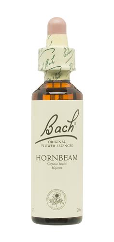 Hornbeam Nº 17 *Hojarazo* 20Ml. (Bach Flowers)