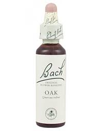 Oak Nº 22 *Roble* 20Ml. (Bach Flowers)