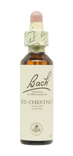 Red Chestnut Nº 25 "Castaño Rojo" 20Ml. (Bach Flowers)