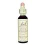 Star Of Bethlehem Nº 29 "Leche De Gallina" 20Ml. (Bach Flowers)