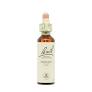 Vervain Nº 31 Persona Triste 20Ml. (Bach Flowers)