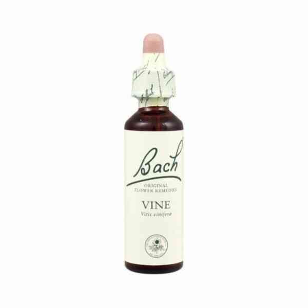 Vine Nº 32 20Ml. (Bach Flower)