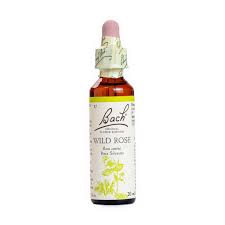 Wild Rose Nº 37 *Rosa Silvestre* 20Ml. (Bach Flowers)