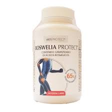 Boswelia Protect 45 Caps. 500 Mg. (Intersa)