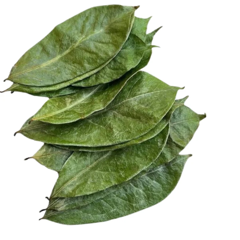 Hojas Secas De Guanabana Bio Grande  50 Grs.