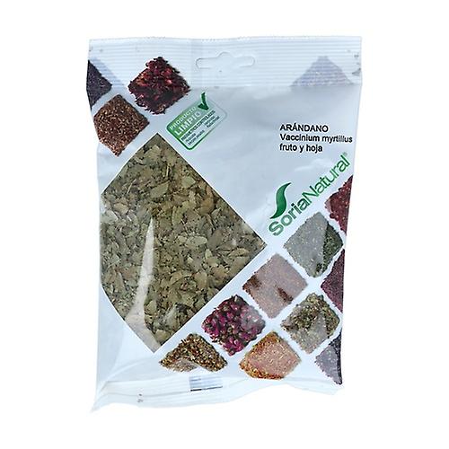 Arandano Bolsa P. 30 Gr. (Soria)