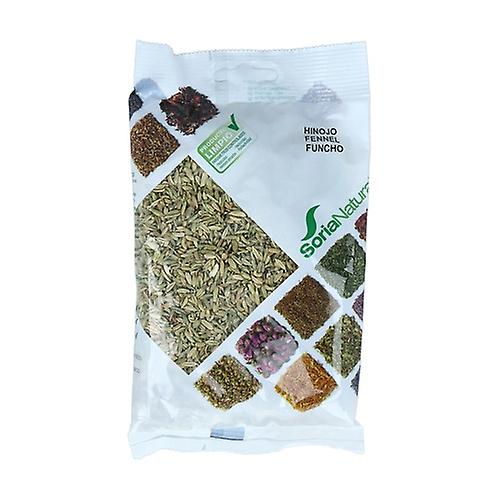 Hinojo semillas bolsa 100 gr  (Soria)