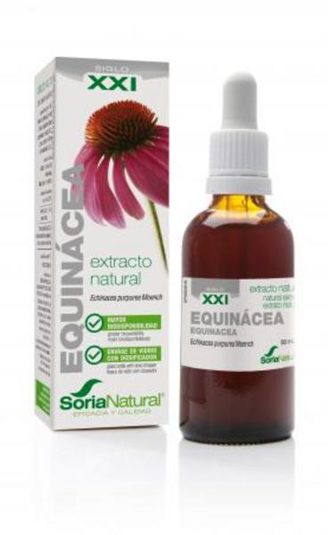 Extracto De Equinacea Xxi  50 Ml. (Soria)