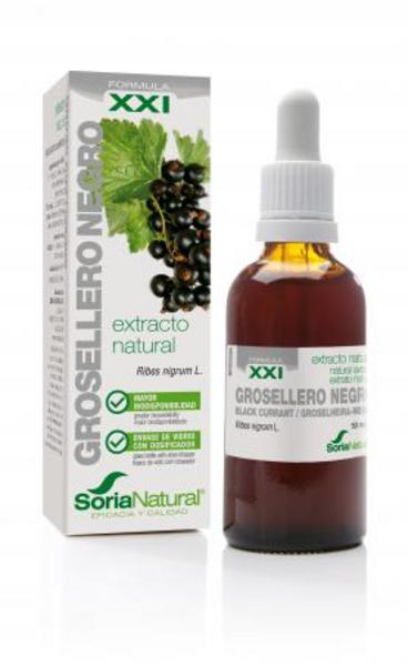 Extracto Grosellero Negro 50 Ml (Soria)