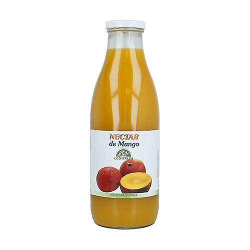 Zumo Mango 1 Lt. (Eco Salim)