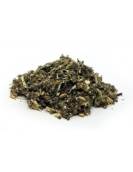 Artemisa Planta 45 Grs. (Herbes Del Moli)