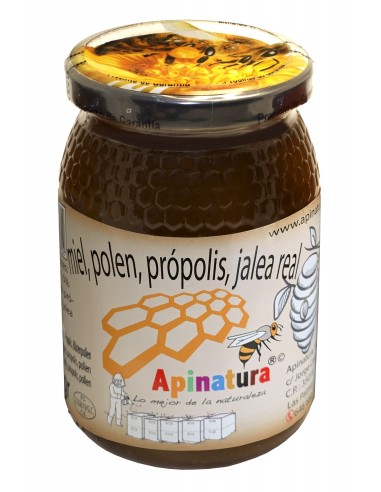 Miel + Polen + Propolis + Jalea 500 Gr (Apinatura)