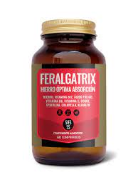 FerAlgatrix 60 Comp. (Sies 55)
