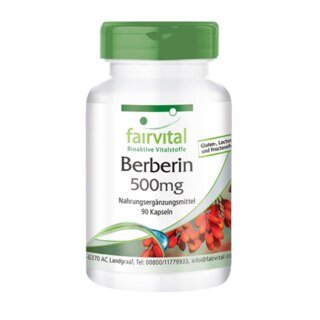Berberina 500 mg 90 Caps. (Fairvital)