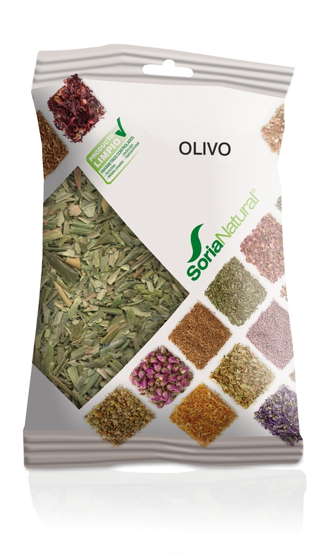 Olivo planta  50 grs. (Soria)