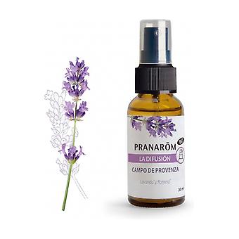 Ambientador Spray Purificador Eucalipto Bio 30 ml. ( (copia)