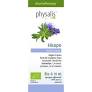[5412360016839] Aceite Esencial Hisopo 10 ml. (Physalis)