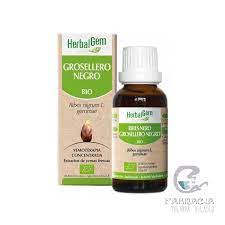 [5425009099476] Extracto Grosellero Negro 15 ml (Herbalgem)