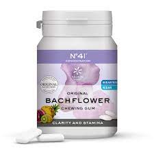 [4250424166035] Chicle Concentracion Nº41F (Bach Flowers)