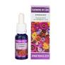 [8436003029069] Flowers Of Life Estudiantes 15 ml. (Equisalud)