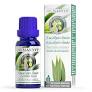 [8410885082114] Aceite Esencial Eucalipto Limon 15 ml. (Marnys)