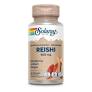 [076280771169] Reishi Fermentado 500 mg. 60 Caps (Solaray)