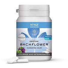 [4250424166042] Chicle Autoconfianza Nº42F (Bach Flower)