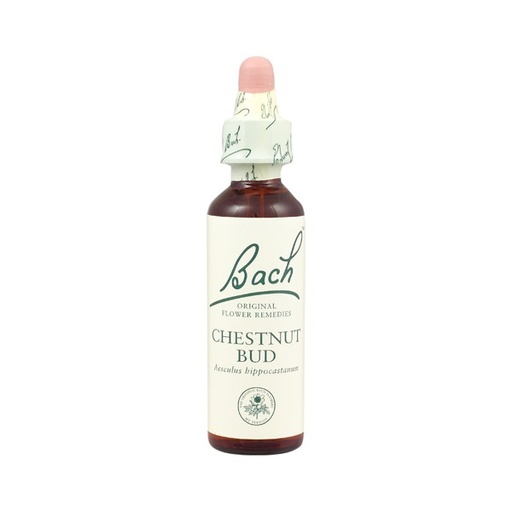 [5000488103830] Chestnut Bud Nº 07 *Brote De Castaño* 20Ml. (Bach Flowers)