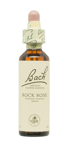 [5000488104028] Rock Rose Nº 26 *Heliantemo* 20 Ml. (Bach Flower)